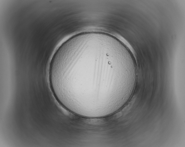 X0000111941437200908171248