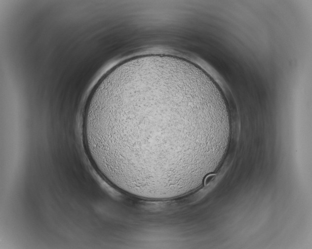 X0000111941438200908171248