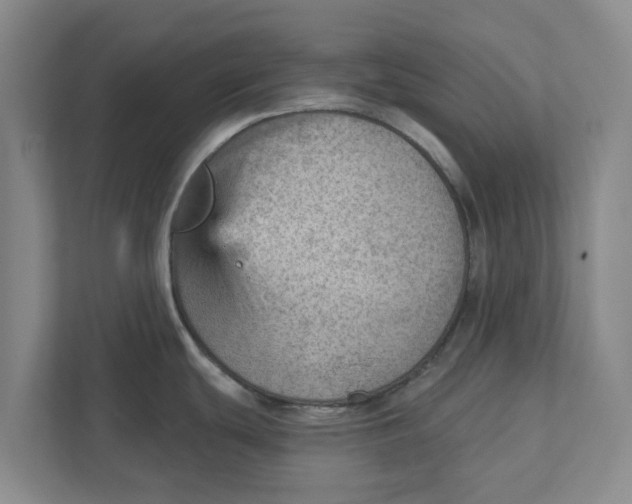 X0000111941439200908171248