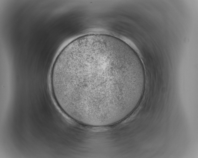 X0000111941440200908171248