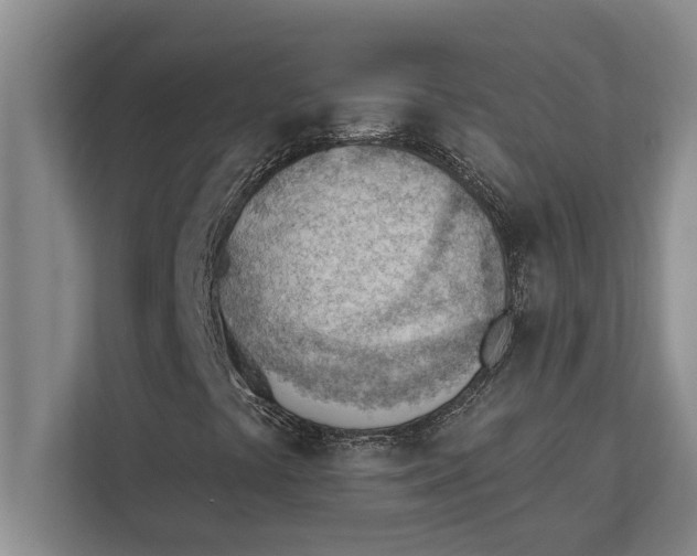 X0000111941441200908171247