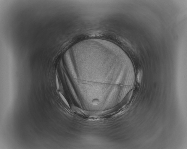 X0000111941444200908171247