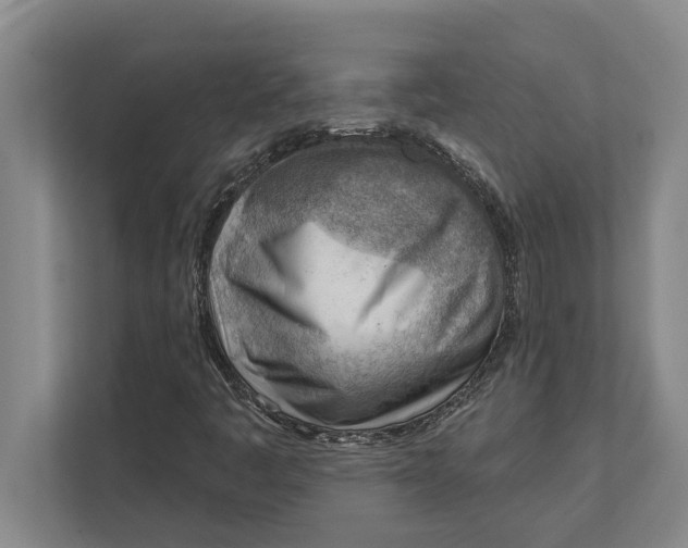 X0000111941445200908171247