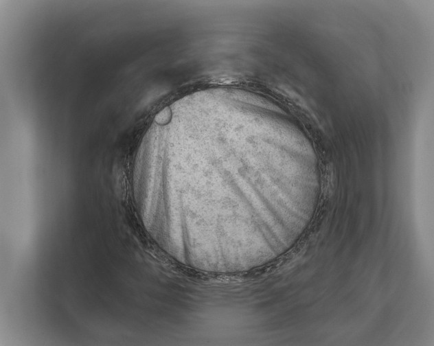 X0000111941446200908171247