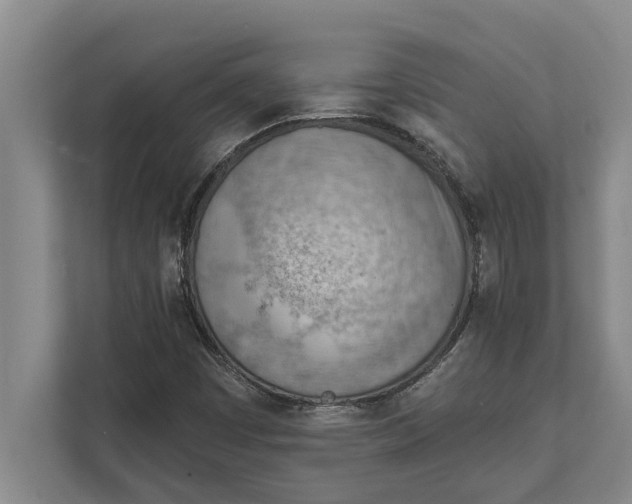 X0000111941449200908171247