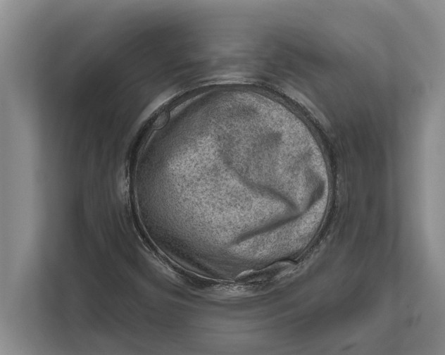 X0000111941450200908171247