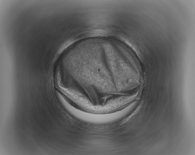 X0000111941453200908171247