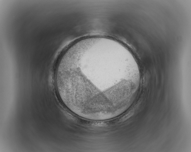 X0000111941454200908171247