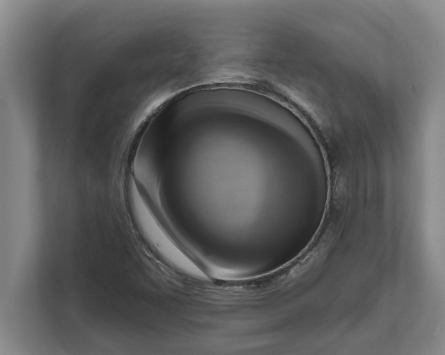 X0000111941455200908171247