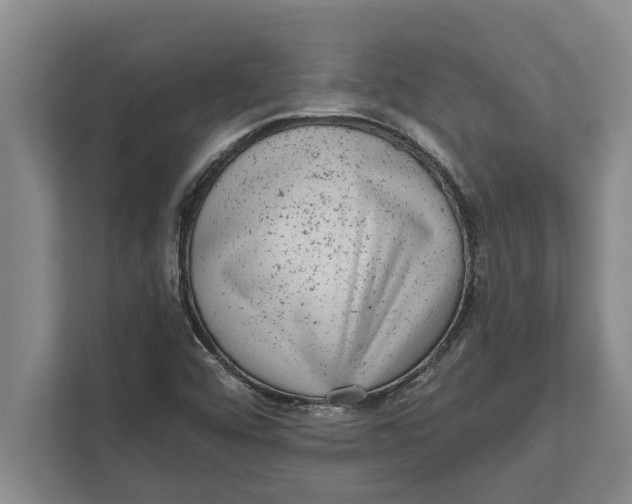 X0000111941456200908171247