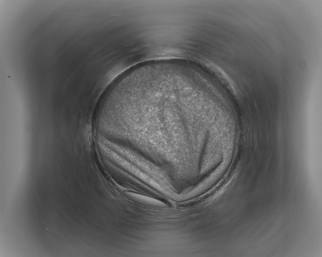 X0000111941457200908171247