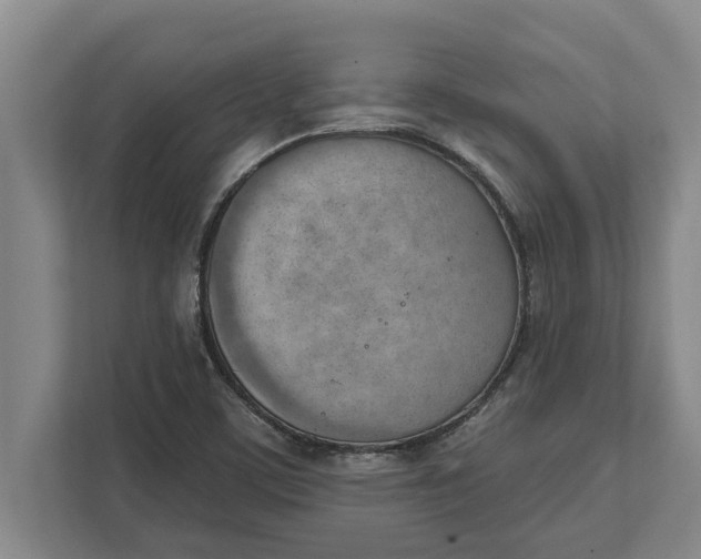 X0000111941459200908171247