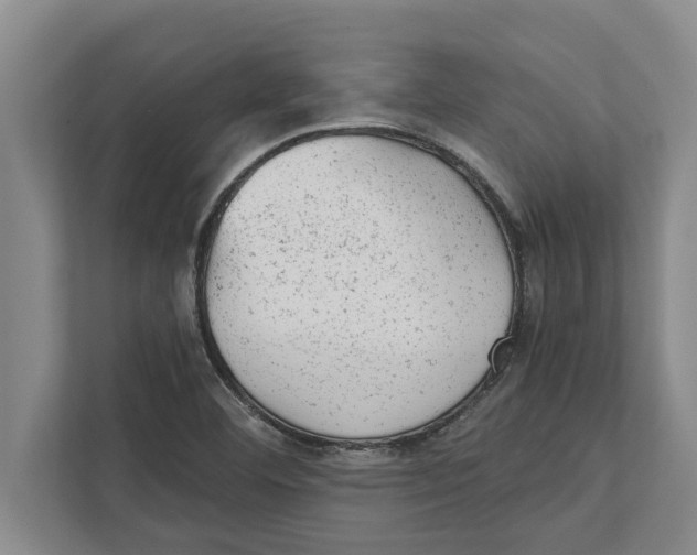 X0000111941460200908171247