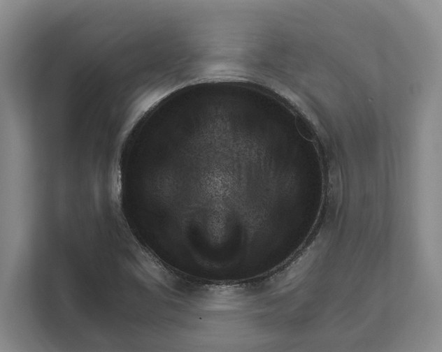 X0000111941461200908171247