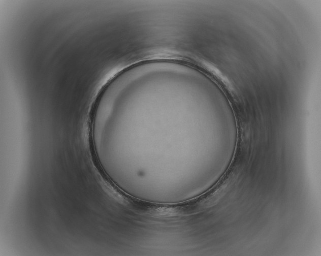 X0000111941463200908171247