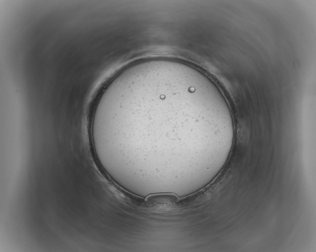 X0000111941464200908171247