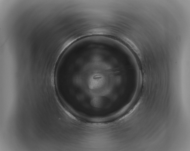 X0000111941465200908171247