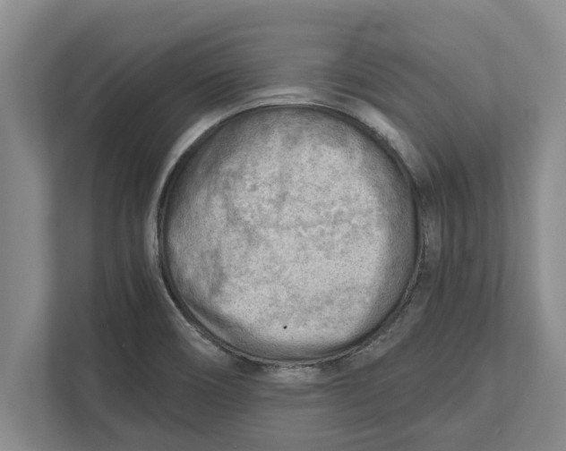 X0000111941466200908171247