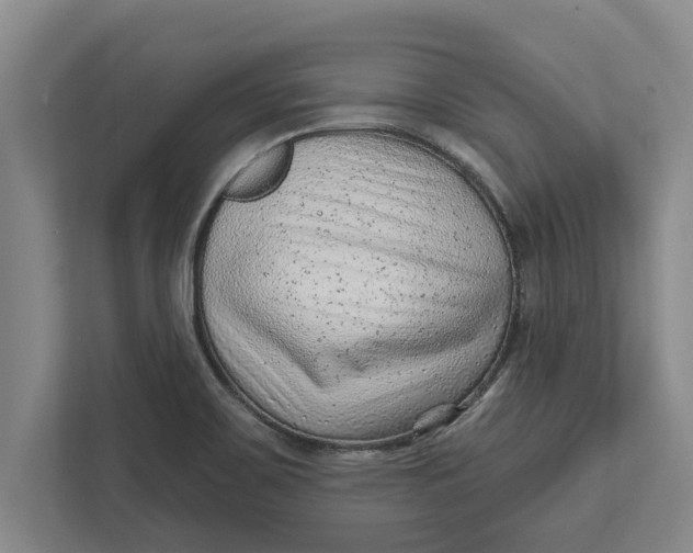 X0000111941467200908171247