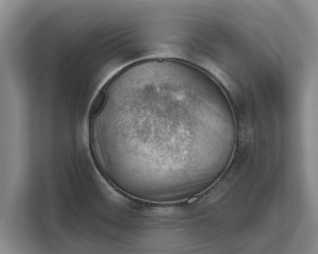 X0000111941468200908171247