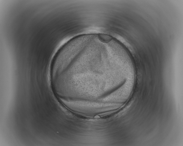 X0000111941469200908171247