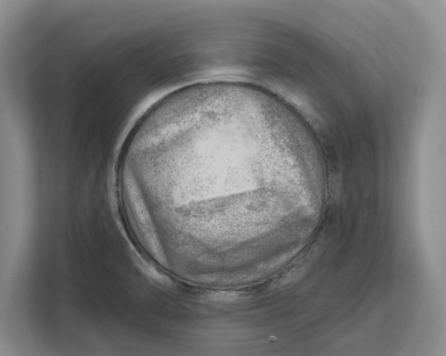 X0000111941470200908171247