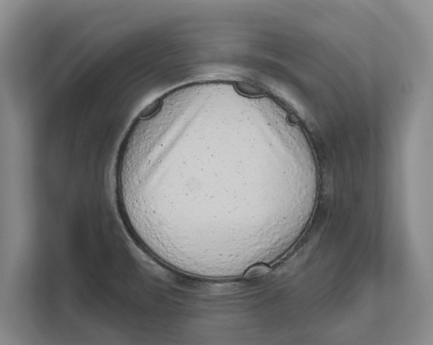 X0000111941471200908171247