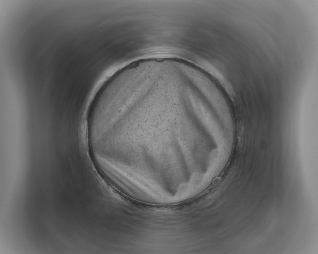 X0000111941472200908171247