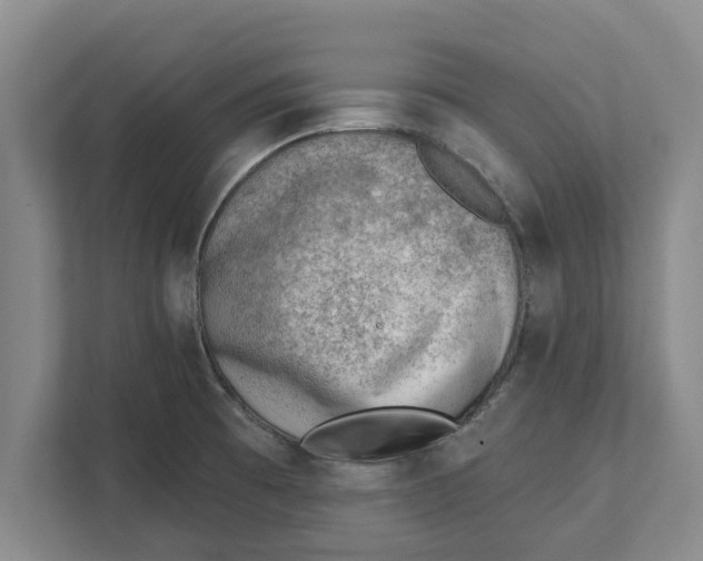 X0000111941473200908171247