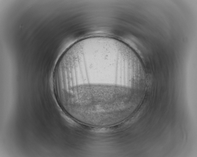 X0000111941474200908171247