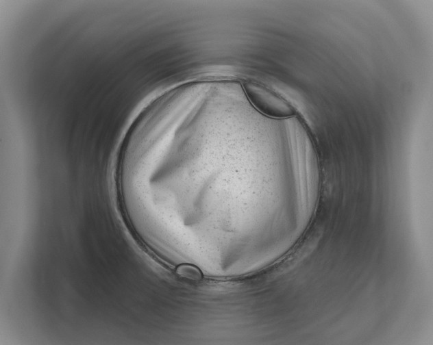 X0000111941475200908171247