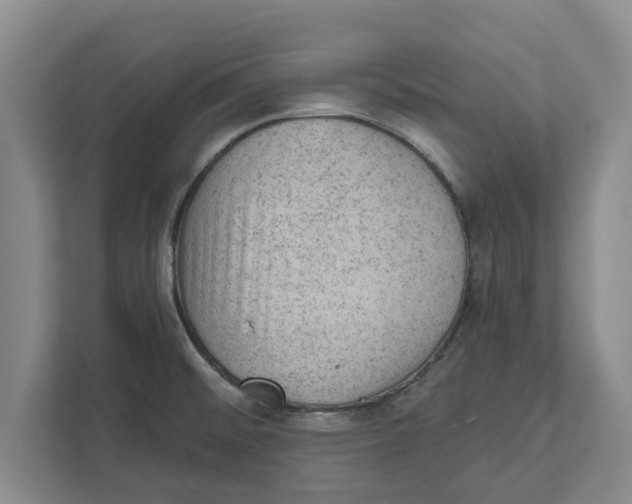 X0000111941476200908171247