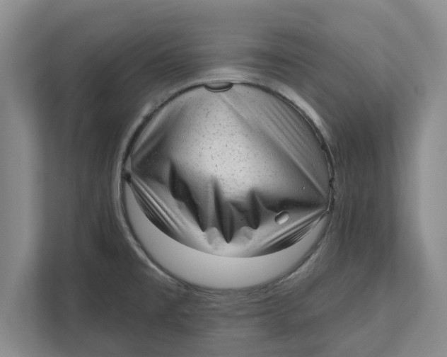 X0000111941477200908171247