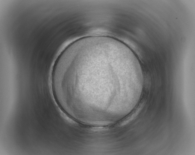 X0000111941478200908171247