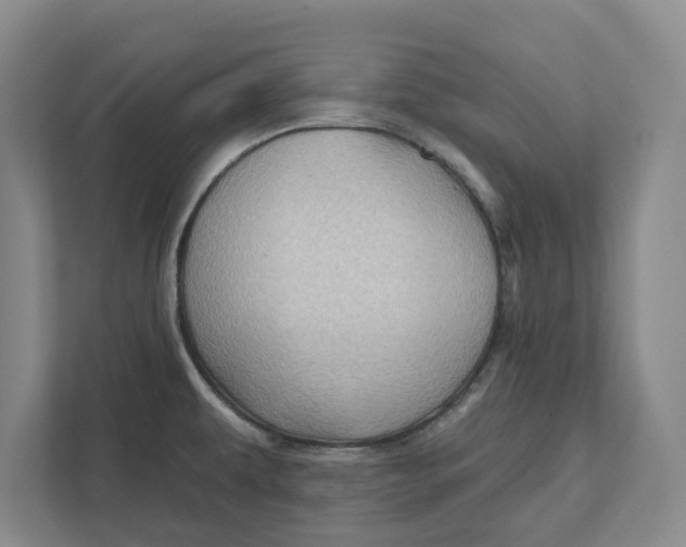 X0000111941479200908171247