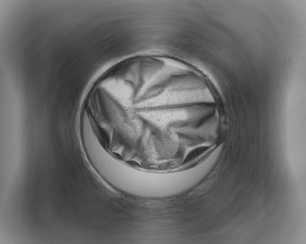 X0000111941480200908171247