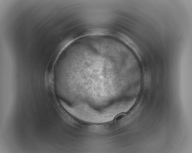 X0000111941481200908171247