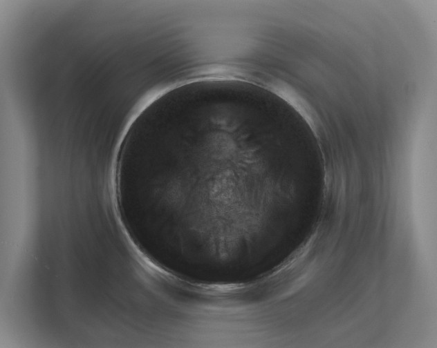 X0000111941482200908171247