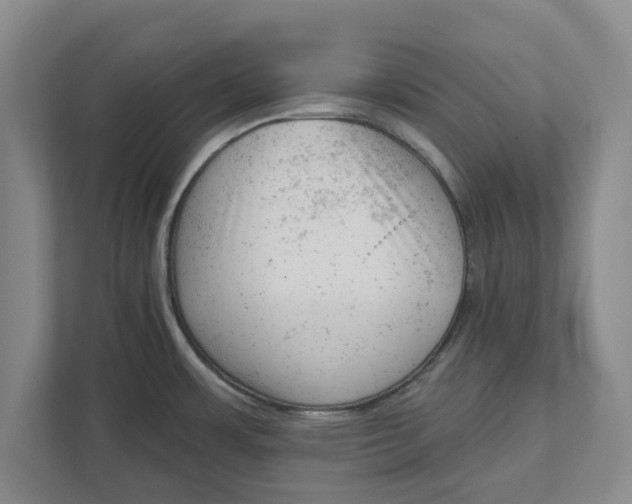 X0000111941483200908171247