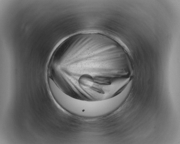 X0000111941484200908171247