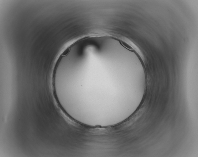 X0000111941485200908171247