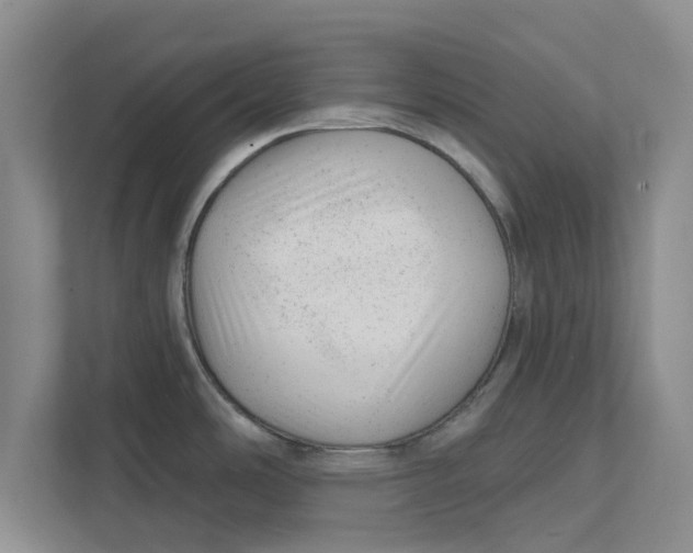 X0000111941486200908171247