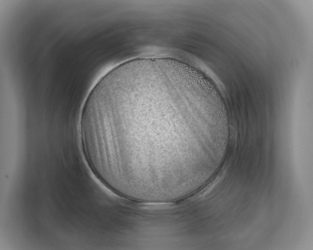 X0000111941487200908171247