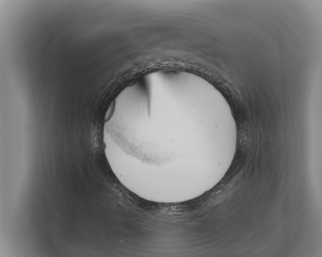 X0000111941490200908171246