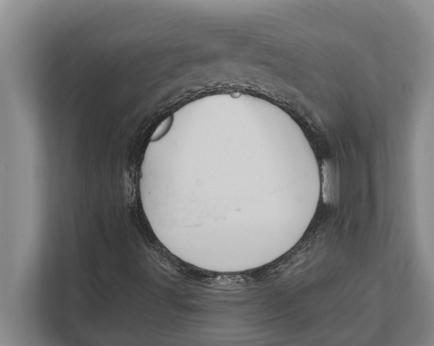 X0000111941491200908171246