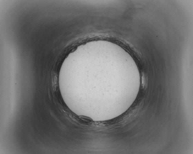 X0000111941492200908171246