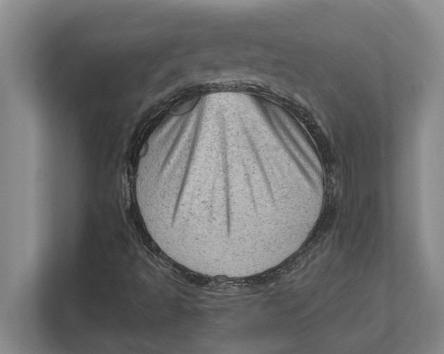 X0000111941493200908171246