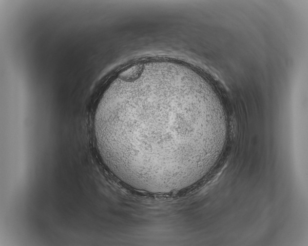 X0000111941494200908171246