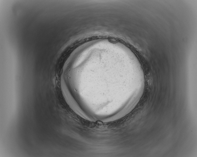 X0000111941495200908171246