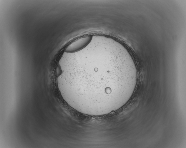 X0000111941496200908171246